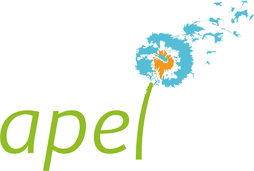 synadic-organisation-chefs-etablissement-catholique-enseignement-second-degre-lien-utile-apel